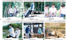 向往5最新爆料,明星们的新奇生活大揭秘！